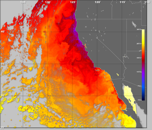 sea surface temperatures off the west coast of the united states, description follows