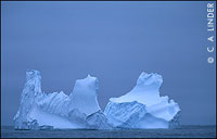 iceberg, description follows