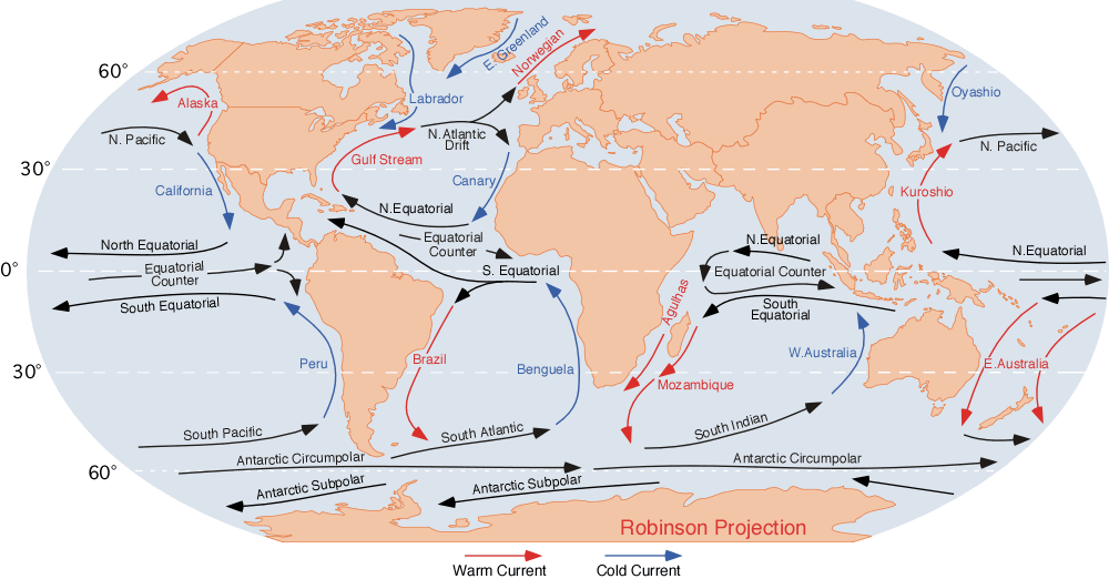 global ocean surface currents